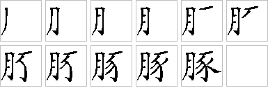 豚的笔画顺序正确写法图